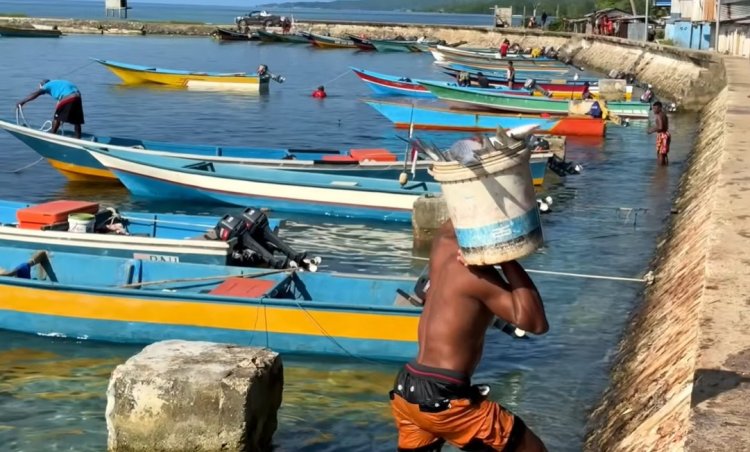 Surga yang Terlupakan: Menyingkap Keajaiban Alam dan "Gudang Ikan" Pasifik di Biak Numfor