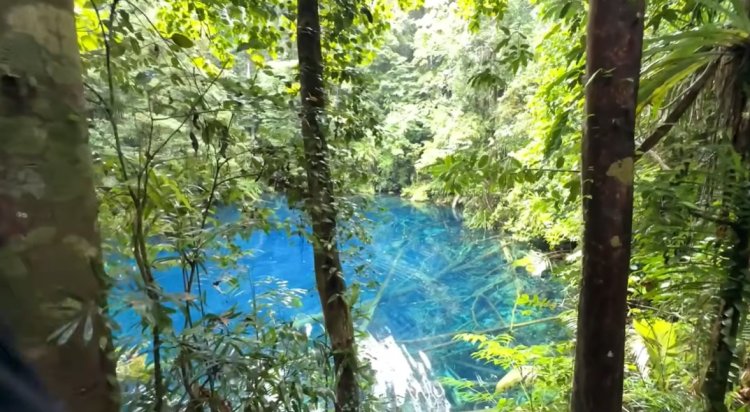 Surga yang Terlupakan: Menyingkap Keajaiban Alam dan "Gudang Ikan" Pasifik di Biak Numfor