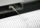 Gempa Magnitudo 6,0 Guncang Pegunungan Bintang Papua, BMKG: Kedalaman 33 Kilometer