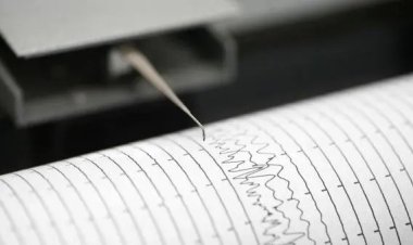 Gempa Magnitudo 6,0 Guncang Pegunungan Bintang Papua, BMKG: Kedalaman 33 Kilometer