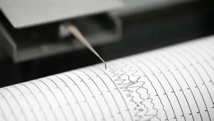 Gempa Magnitudo 6,0 Guncang Pegunungan Bintang Papua, BMKG: Kedalaman 33 Kilometer