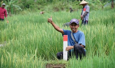 Mudik ke Kampung Halaman? Jaga Batas Tanah sebagai Langkah Awal Cegah Konflik Antartetangga